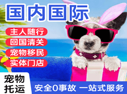 永兴机场托运国际宠物托运 【国